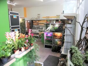 terraristik shop zooaustria innenansicht eingang