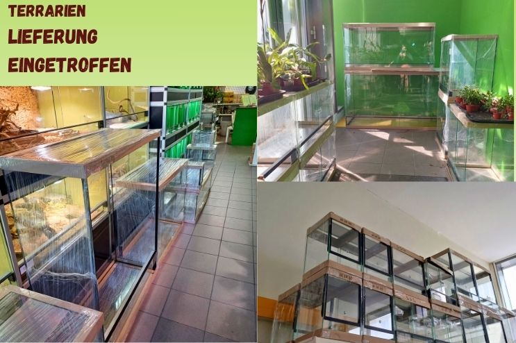 Terrarien verschieden Größen für Bartagamen, Leopardgeckos, Echse Frösche und viele mehr Terraristikshop Wien Zoo Austria